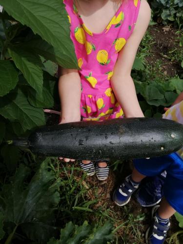 <p style="text-align: center;font-size: 18px">Zucchini!</p>